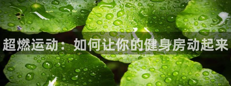 征途国际平台：超燃运动：如何让你的健身房动起来