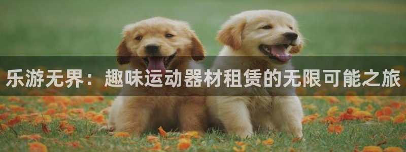 征途国际开户：乐游无界：趣味运动器材租赁的无限可能之