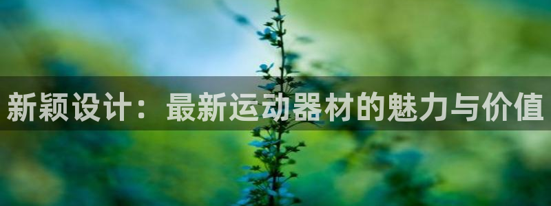 征途国际新能源：新颖设计：最新运动器材的魅力与价值