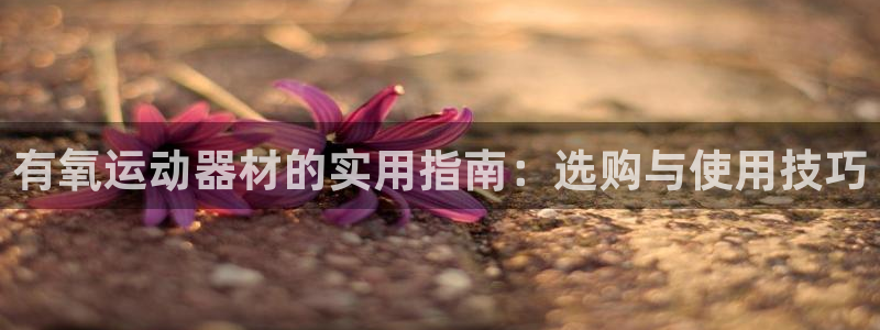 征途国际娱乐：有氧运动器材的实用指南：选购与使用技巧