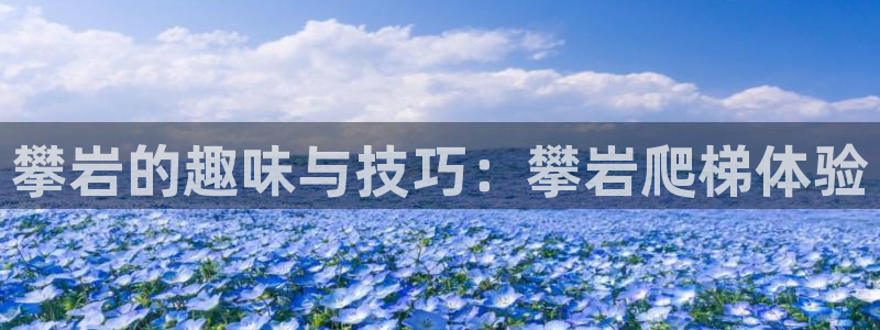 征途国际集团logo：攀岩的趣味与技巧：攀岩爬梯体验