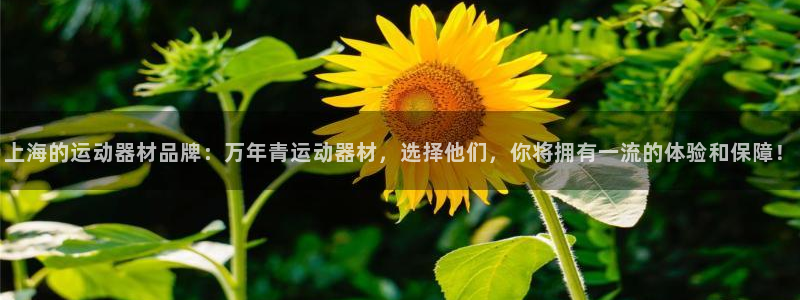 征途国际平台注册：上海的运动器材品牌：万年青运动器材