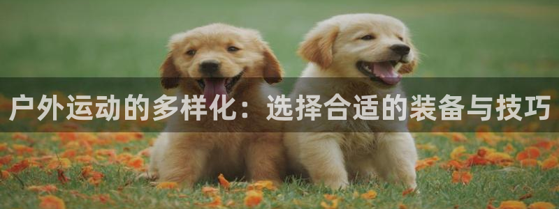 征途国际娱乐首页官网下载：户外运动的多样化：选择合适的装备与