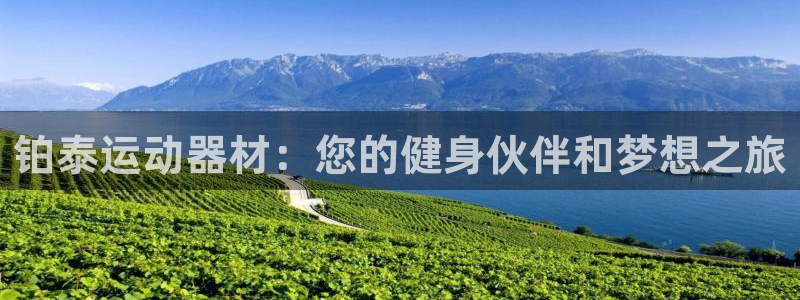 征途国际软件：铂泰运动器材：您的健身伙伴和梦想之旅