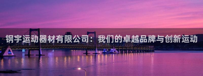 海南征途国际：钢宇运动器材有限公司：我们的卓越品牌与创新运动