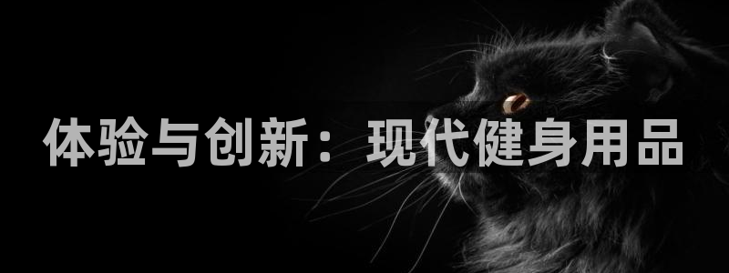 征途国际集团简介：体验与创新：现代健身用品