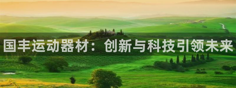 征途国际招商电话号码是多少：国丰运动器材：创新与科技引领未来