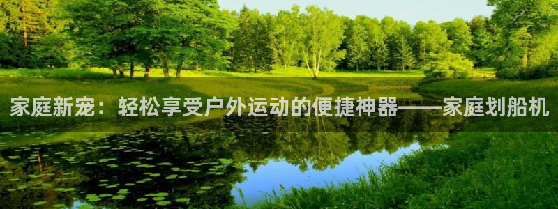 征途国际软件：家庭新宠：轻松享受户外运动的便捷神器—
