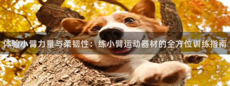 征途国际集团：体验小臂力量与柔韧性：练小臂运动器材的