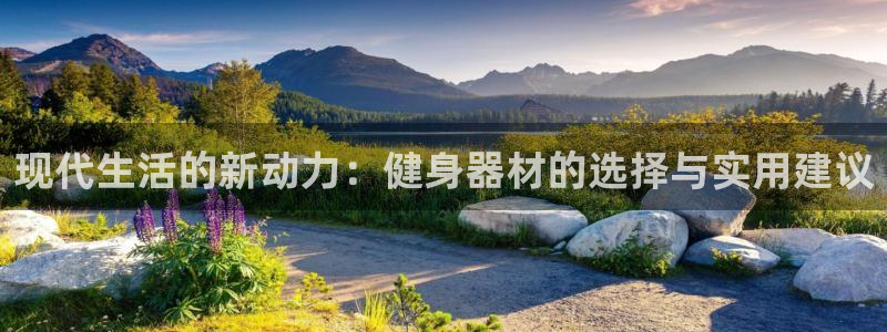 征途国际平台：现代生活的新动力：健身器材的选择与实用