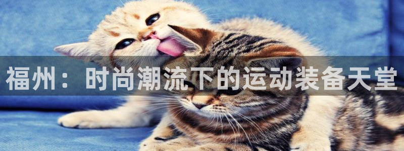 征途国际官方客服电话：福州：时尚潮流下的运动装备天堂